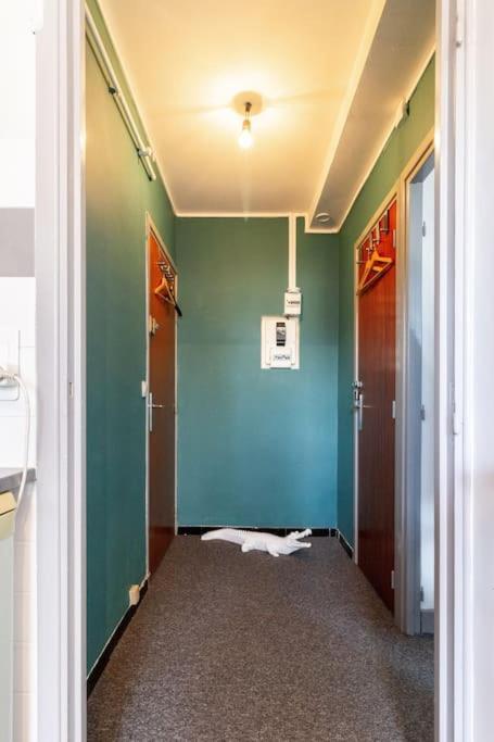 Double Appartement, Saint Michel, Parking, Wifi Toulouse Exteriér fotografie